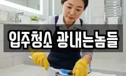 입주청소 광내는놈들