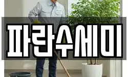 파란수세미