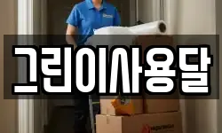 그린이사용달