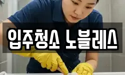 입주청소 노블레스
