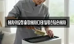 세차의요정출장세차디테일링스팀손세차