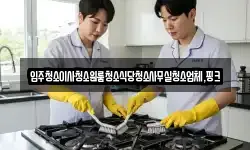 입주청소이사청소원룸청소식당청소사무실청소업체,핑크