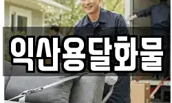 익산용달화물
