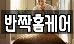 반짝홈케어