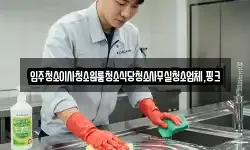 입주청소이사청소원룸청소식당청소사무실청소업체,핑크