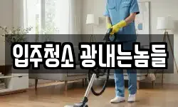 입주청소 광내는놈들