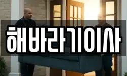 해바라기이사