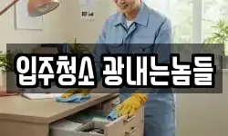 입주청소 광내는놈들