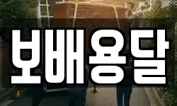 보배용달