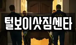 털보이삿짐센타