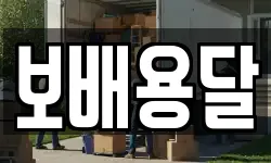 보배용달