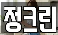 정크린