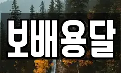 보배용달