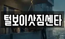 털보이삿짐센타