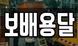 보배용달