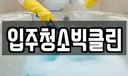 입주청소빅클린