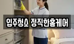 입주청소 정직한홈케어
