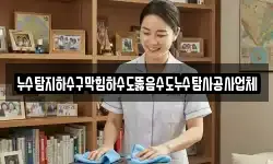 누수탐지하수구막힘하수도뚫음수도누수탐사공사업체