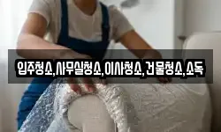 입주청소,사무실청소,이사청소,건물청소,소독