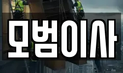 모범이사