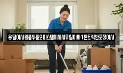 용달이사원룸투룸오피스텔이사사무실이사1톤트럭반포장이사