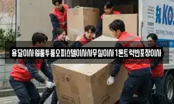 용달이사원룸투룸오피스텔이사사무실이사1톤트럭반포장이사