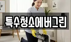 특수청소에버그린