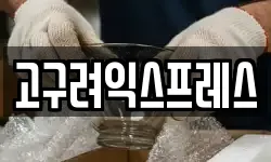 고구려익스프레스