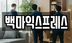 백마익스프레스