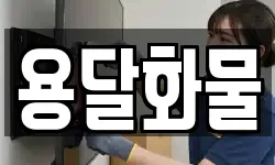 전북 전주시 덕진구 덕진동1가 이사,용달이사,포장이사,원룸이사,보관이사