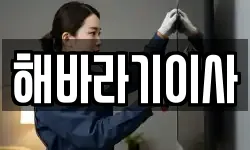 해바라기이사