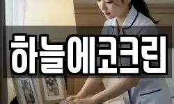 하늘에코크린