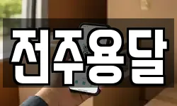 전주용달