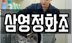삼영정화조