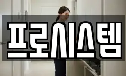 프로시스템