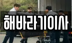 해바라기이사