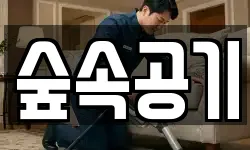 숲속공기