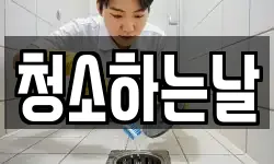 청소하는날