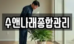수앤나래종합관리