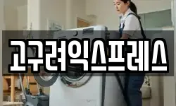 고구려익스프레스