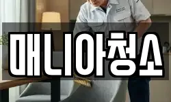 매니아청소