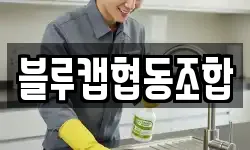블루캡협동조합