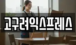 고구려익스프레스