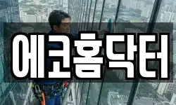에코홈닥터