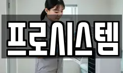 프로시스템
