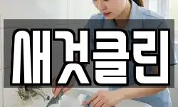 새것클린