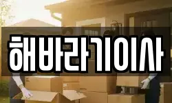 해바라기이사