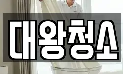 대왕청소