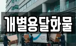 개별용달화물