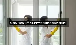 입주청소건물관리미화경비용역모든청소에어컨청소물탱크소독방역